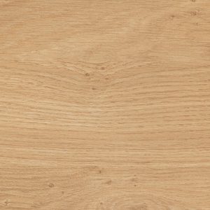 Küche Farbe Ulme